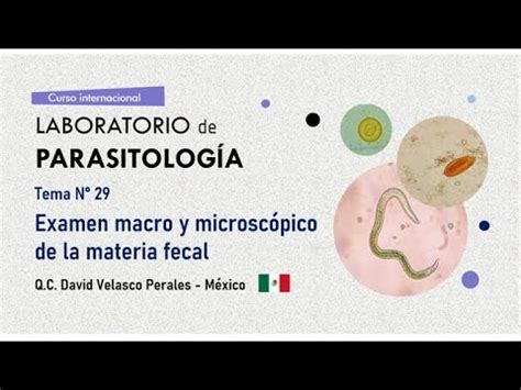 Tema n 29 Examen macro y microscópico de la materia fecal YouTube