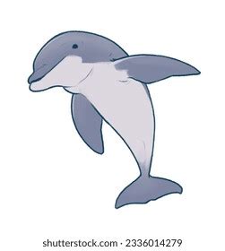 Jumping Dolphin Isolated Cartoon Illustration Pose Stock Illustration 2336014279 | Shutterstock