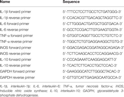 Primers Used For Quantitative Reverse Transcription Polymerase Chain