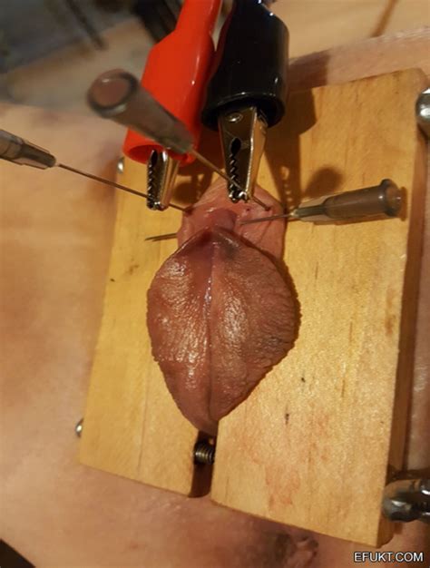 Whos Pussy Is This 1788533 NameThatPorn