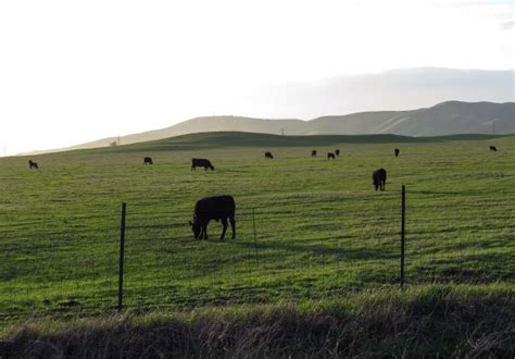 Free Images Landscape Grass Hay Tractor Bale Field Farm Meadow