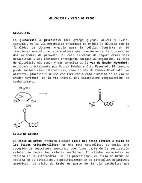 Docx Glucolisis Y Ciclo De Krebs Dokumen Tips