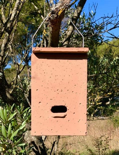 Nichoir Chauves Souris En B Ton De Bois Suspendu Nichoir Chauve