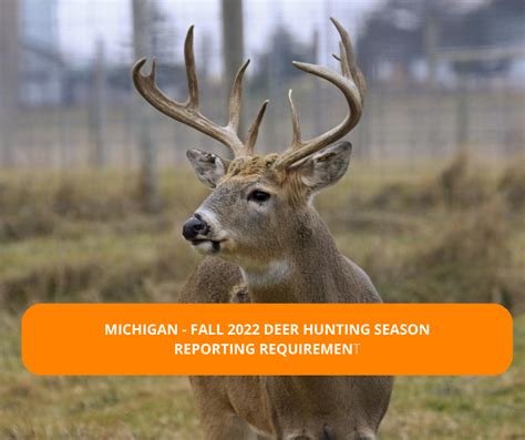 Online Harvest Reporting Starts With Fall 2022 Deer Hunting Seasons