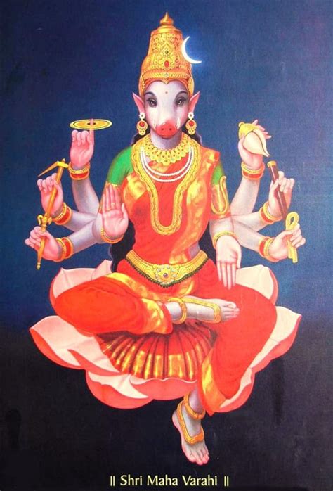 Varahi Devi Goddess Vidya