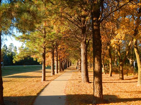 Choosing my state south dakota state university reveals many benefits 6