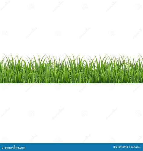 Green Grass Border Isolated White Background Stock Vector Illustration Of Grow Fresh 212159998