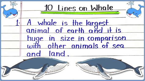 10 Lines Essay On Whale In English Whale 10 Points Few Lines