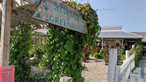 Mitchell Farm And Greenhouse Michigan