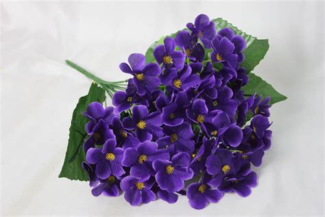 Цветы фиалки - 48 фото