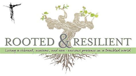 Sermon Series Rooted And Resilient Week 1 2 5 23 John Roberts YouTube