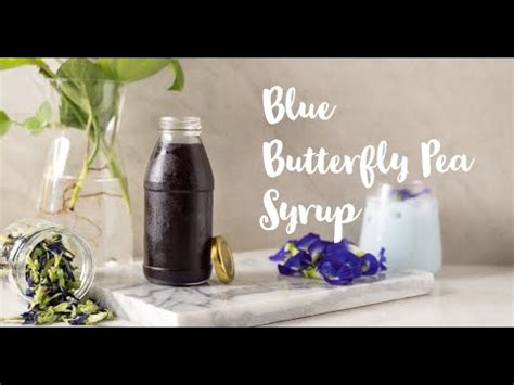 Resep BUTTERFLY PEA SYRUP Sirup Bunga Telang YouTube