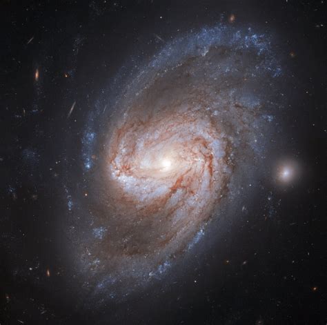 Image Hubble Views A Galaxy Burning Bright