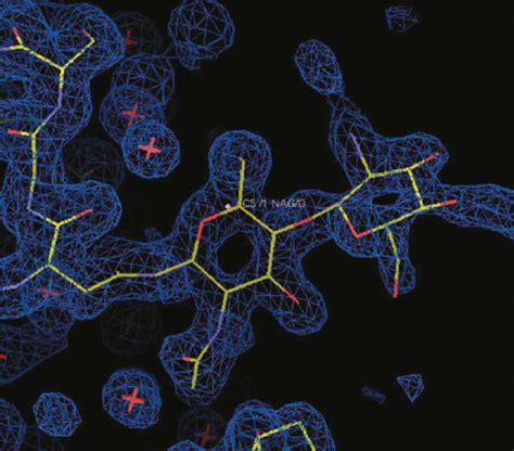 Electron Density Map