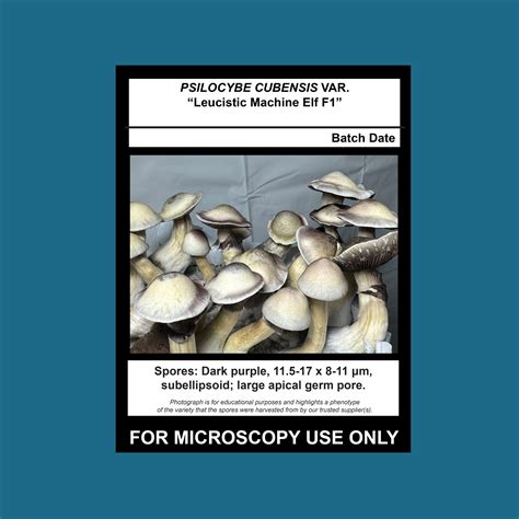 Psilocybe Cyanescens Spore Swab Mushroom Man Mycology