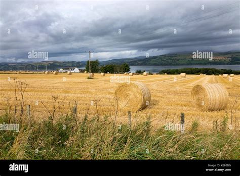 The Cromarty Firth, Scotland Stock Photo - Alamy