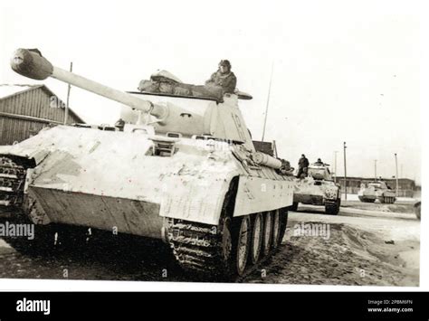 World War Two B&W photo German Panthers Tank in winter White Camouflage ...