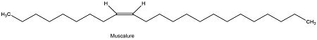 What is the efficient synthesis mechanism of the following compound ...