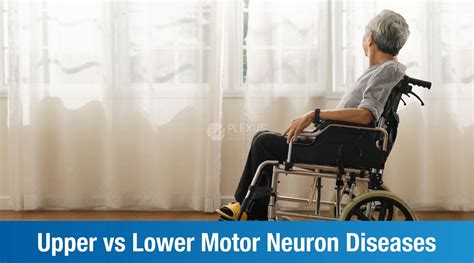 Upper vs Lower Motor Neuron Diseases - PLEXUS