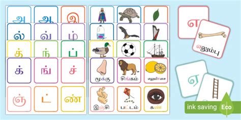 Tamil Alphabets - Vowels and Consonants Flashcards