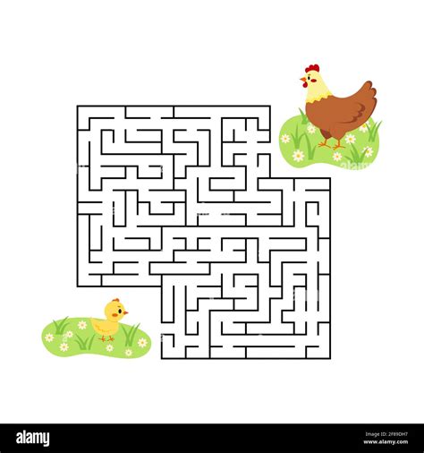 Farm Maze Game Chicken Find Hen In Labyrinth Isolated On White