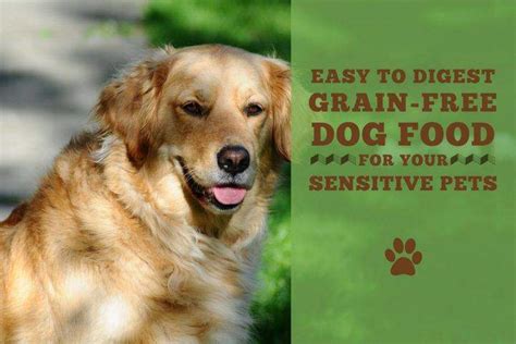 Best Grain-Free Dog Food For Sensitive Dogs 2019 - Totally Goldens