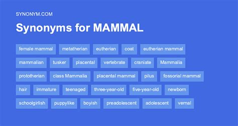 Another word for MAMMAL > Synonyms & Antonyms