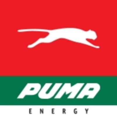 Working at Puma Energy: Employee Reviews | Indeed.com