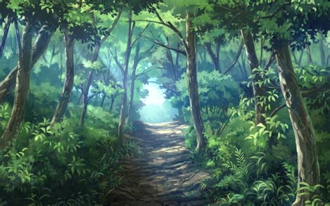 Forest Illustration Background