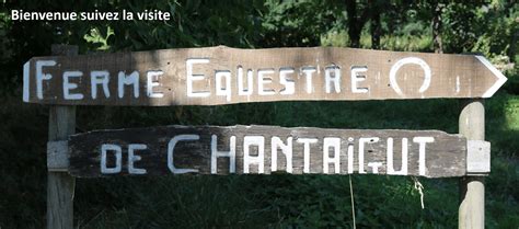 Ferme Equestre Et P Dagogique De Chantaigut Centre Questre Poney