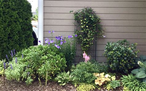 Courtyard Garden North Carolina Extension Gardener Plant Toolbox