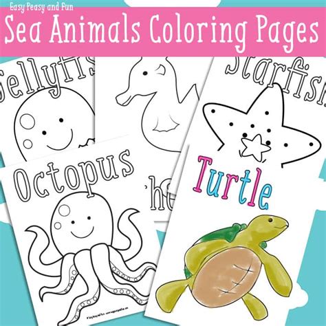 ocean animals coloring pages  names fun educational activity  kids