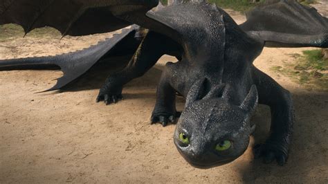 reasons     train  dragon remake soared   box office