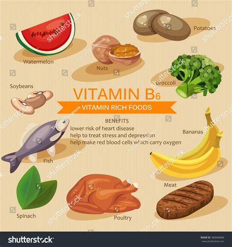 Vitamins Minerals Foods Illustration Vector Set Stock Vector Royalty