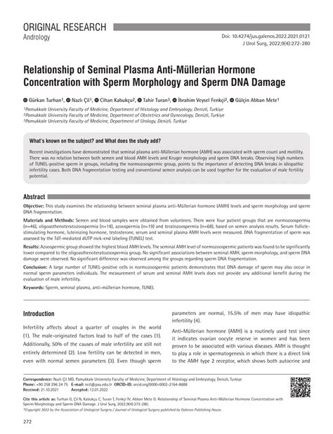 PDF Relationship of Seminal Plasma Anti Müllerian Hormone