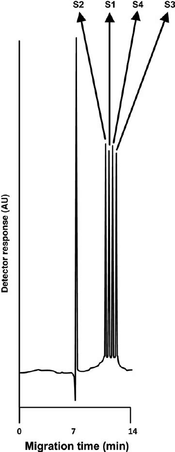 Capillary Electropherograms Of A Mixture Of S S S And S Ce