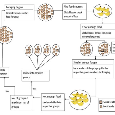 Pdf Spider Monkey Optimization Algorithm