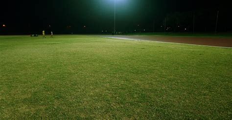 Green Grass · Free Stock Photo