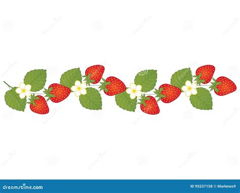 Vektor Erdbeeren Mit Blumen Vektorerdbeere Stock Abbildung