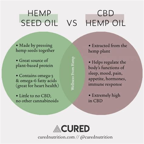 Hemp Seed Oil Vs Cbd Hemp Oil Side By Side Comparison