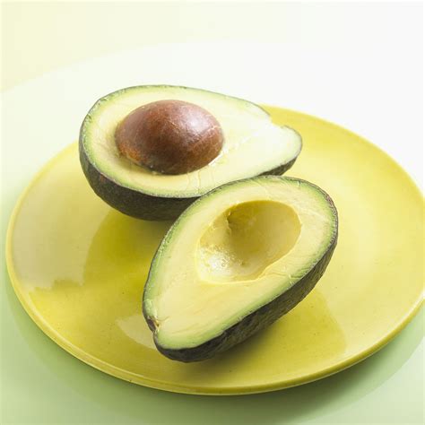 Mexicola Avocado Tree - Bob Wells Nursery - U.S. Shipping