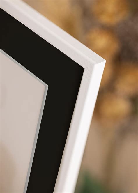 Buy Frame Kaspar White 40x60 Cm Picture Mount Black 25x50 Cm Here