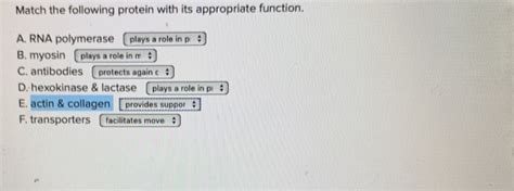 Solved Match the following protein with its appropriate | Chegg.com 