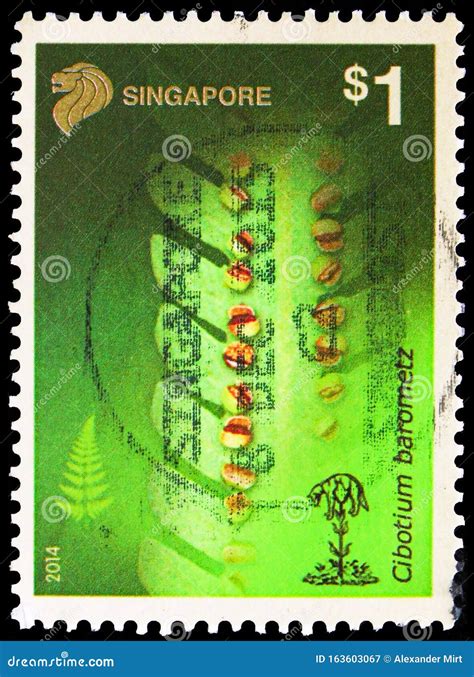 Postage Stamp Printed In Singapore Shows Cibotium Barometz Ferns Serie