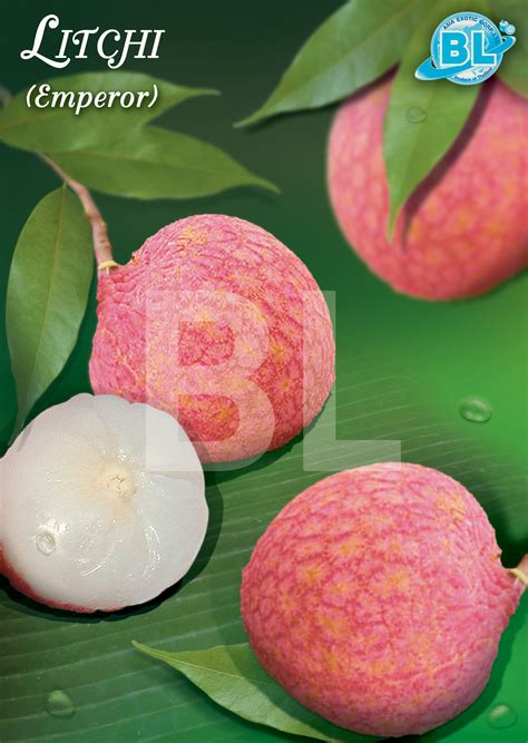 Lychee – Asia Exotic Corporation Limited