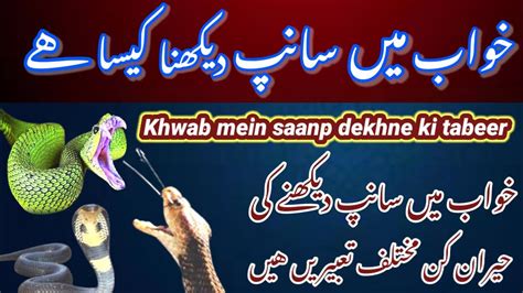 Khwab mein saanp dekhna خواب میں سانپ دیکھنے کی تعبیر Ummat ki islah