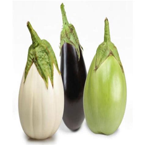 Fine Delicious Taste Healthy Green White And Purple Fresh Brinjal At