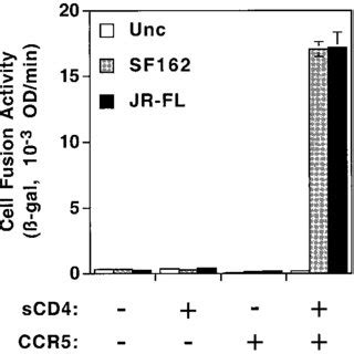 SCD4 Activation Of Env Mediated Coreceptor Dependent Cell Fusion