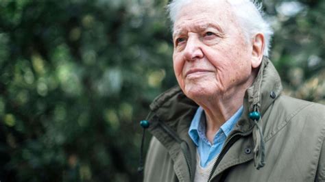 How old is David Attenborough and other interesting facts - Curious Earth