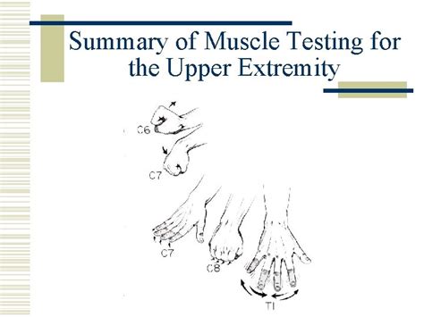 Orthopaedic Neurology Diagnostic Guide to Neurological Levels Motor